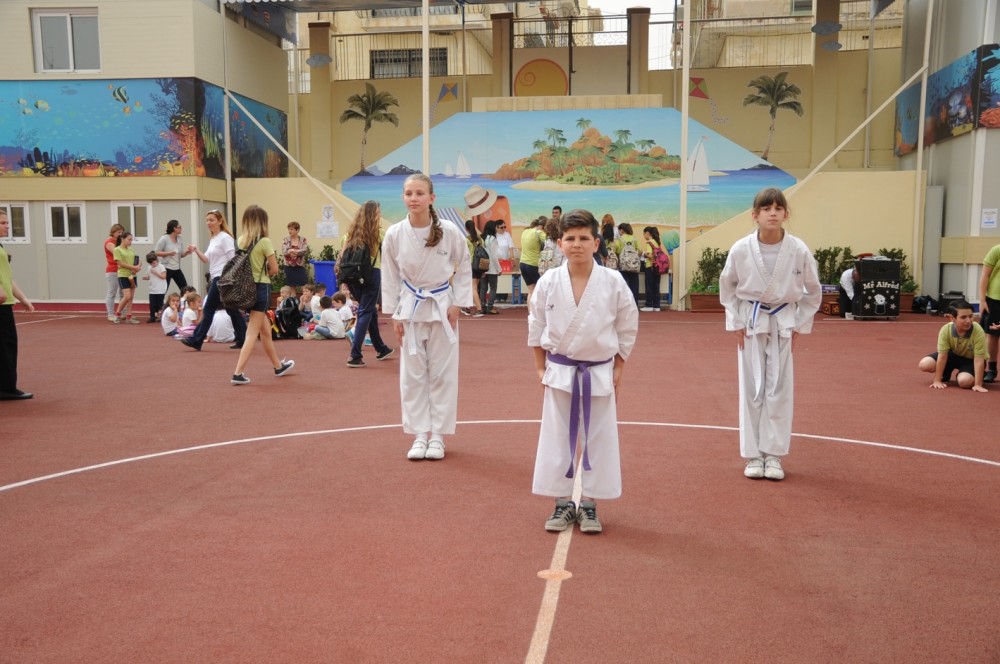 STV_5663new2219ssnew